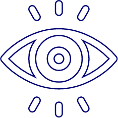 vision icon