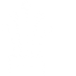 Fibre icon