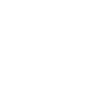 5G icon