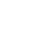 Network icon